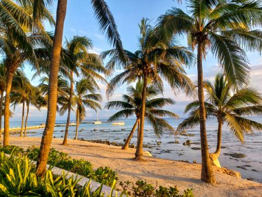 Playa del Carmen, Quintana Roo, Meksika - 20 Kasım 2024: Sonbahar sezonunda Barcelo Maya Oteli bölgesinde