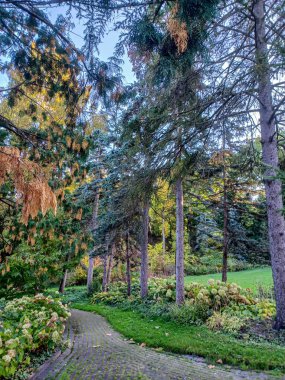 Toronto, Kanada 'da uzun ağaçlarla çevrili renkli bir çiçek bahçesinde güneşli bir yol esiyor..