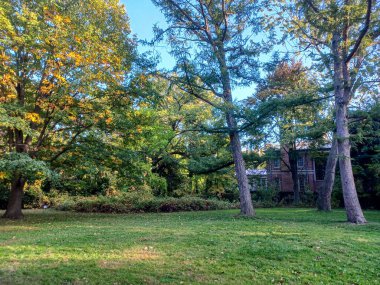Toronto, Kanada 'da canlı sonbahar ağaçlarıyla çevrili yeşil bir çimenliğin kenarını kıvrımlı bir patika takip ediyor..