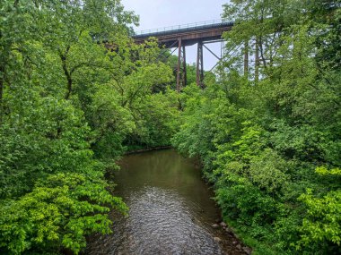 Yağmurlu bir günde küçük bir dere manzarası