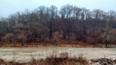 Humber River flows swiftly through a bare winter forest under a grey sky during a rainy day.