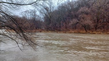 Humber River flows swiftly through a bare winter forest under a grey sky during a rainy day.