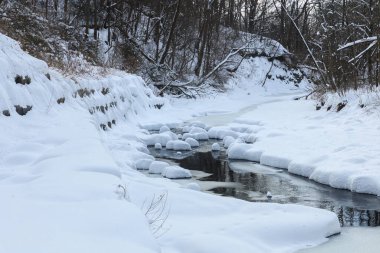 Küçük bir dere karlı bir ormanın içinden akar, karla kaplı kayalar ve kıyılar huzurlu bir kış manzarası yaratır..