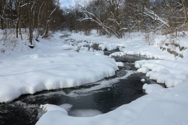 Küçük bir dere karlı bir ormanın içinden akar, karla kaplı kayalar ve kıyılar huzurlu bir kış manzarası yaratır..
