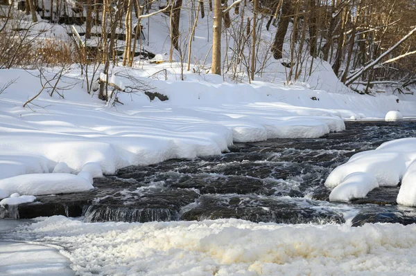 Küçük bir dere karlı bir ormanın içinden akar, karla kaplı kayalar ve kıyılar huzurlu bir kış manzarası yaratır..