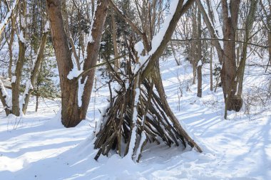 Dallardan yapılmış ahşap bir sığınak çıplak ağaçlar ve parlak güneş ışığıyla karlı bir ormanda duruyor..