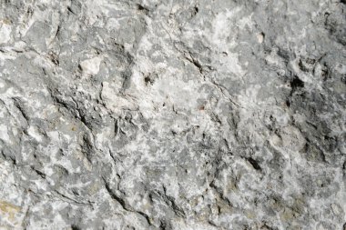 Yakından bakıldığında, gri ve beyaz bir taş yüzeyin pürüzlü dokusunu gösterir..