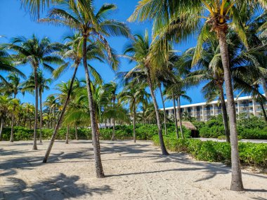Quintana Roo, Meksika - 20 Kasım 2024 Playa del Car bölgesinde Playa del Carmen, Meksika