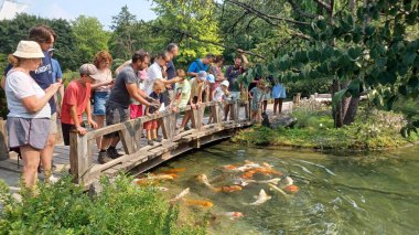 Montreal, QC, Kanada - 8 Ağustos 2025 Botanik Bahçesinde çeşitli güzel bitkiler ve doğal elementler sergileniyor, parlak bir gökyüzü altında bahçecilik tasarımı sergileniyor...