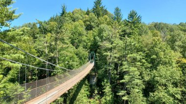 Parlak, güneşli bir günde yeşil orman geçidi boyunca uzanan manzara asma köprüsü..