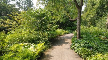 Montreal, QC, Kanada - 8 Ağustos 2025 Botanik Bahçesinde çeşitli güzel bitkiler ve doğal elementler sergileniyor, parlak bir gökyüzü altında bahçecilik tasarımı sergileniyor...