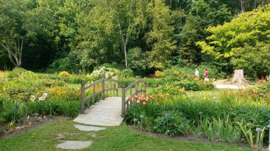 Montreal, QC, Kanada - 8 Ağustos 2025 Botanik Bahçesinde çeşitli güzel bitkiler ve doğal elementler sergileniyor, parlak bir gökyüzü altında bahçecilik tasarımı sergileniyor...