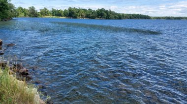 Tek bir motorlu tekne büyük bir gölün derin mavi sularını geçer. Yoğun, yeşil bir orman yaz gökyüzünün altındaki uzak kıyıyı kaplar..