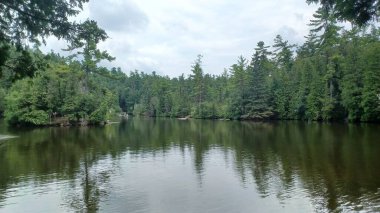 Yükselen kireçtaşı kayalıkları, bulutlu bir gökyüzünün altında yemyeşil yaz yapraklarıyla çevrili nehir rezervuarının yansıtıcı suyunun üzerinde yükselir..