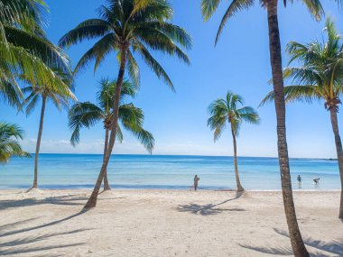 Quintana Roo, Meksika - 20 Kasım 2024 Playa del Car bölgesinde Playa del Carmen, Meksika