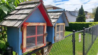 Toronto, ON, Kanada - 6 Haziran 2025: Yazın güneşli bir günde siyah bir çit ve kaldırımın yanında iki küçük ev şeklinde kütüphane standı..