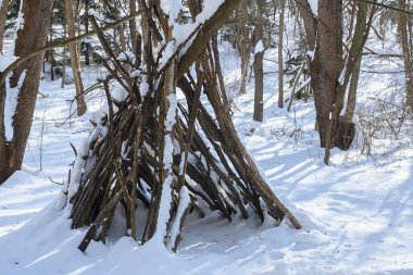 Dallardan yapılmış ahşap bir sığınak çıplak ağaçlar ve parlak güneş ışığıyla karlı bir ormanda duruyor..