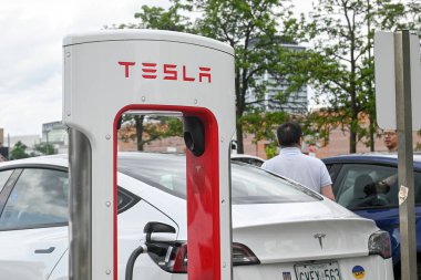 Botanik bahçesinde, parlak bir gökyüzü altında bahçecilik tasarımı sergilenen çeşitli güzel bitkiler ve doğal elementlerden oluşan bir koleksiyon yer alıyor..