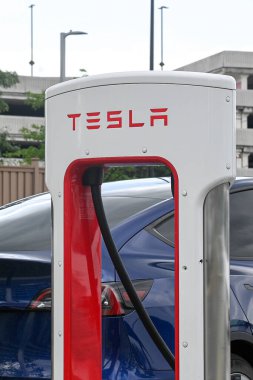 Botanik bahçesinde, parlak bir gökyüzü altında bahçecilik tasarımı sergilenen çeşitli güzel bitkiler ve doğal elementlerden oluşan bir koleksiyon yer alıyor..