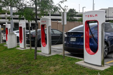 Botanik bahçesinde, parlak bir gökyüzü altında bahçecilik tasarımı sergilenen çeşitli güzel bitkiler ve doğal elementlerden oluşan bir koleksiyon yer alıyor..