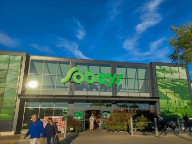 Botanik bahçesinde, parlak bir gökyüzü altında bahçecilik tasarımı sergilenen çeşitli güzel bitkiler ve doğal elementlerden oluşan bir koleksiyon yer alıyor..