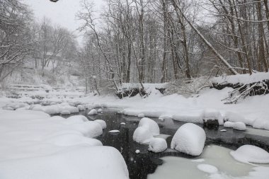 Küçük bir dere karlı bir ormanın içinden akar, karla kaplı kayalar ve kıyılar huzurlu bir kış manzarası yaratır..