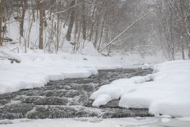 Küçük bir dere karlı bir ormanın içinden akar, karla kaplı kayalar ve kıyılar huzurlu bir kış manzarası yaratır..