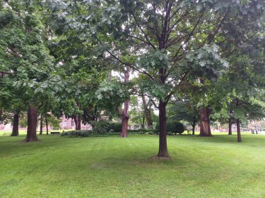 Çeşitli ağaçları olan yemyeşil bir çimen ve bulutlu bir öğleden sonra sakin bir şehir parkında uzanan asfalt bir yol..