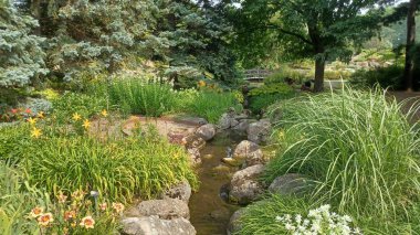 Çeşitli ağaçları olan yemyeşil bir çimen ve bulutlu bir öğleden sonra sakin bir şehir parkında uzanan asfalt bir yol..