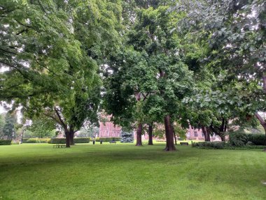 Çeşitli ağaçları olan yemyeşil bir çimen ve bulutlu bir öğleden sonra sakin bir şehir parkında uzanan asfalt bir yol..