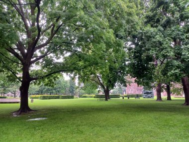 Çeşitli ağaçları olan yemyeşil bir çimen ve bulutlu bir öğleden sonra sakin bir şehir parkında uzanan asfalt bir yol..