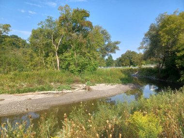 Küçük, sakin bir nehir, mavi gökyüzünün altındaki sarı kır çiçekleri ve yeşil ağaçların arasından akar..