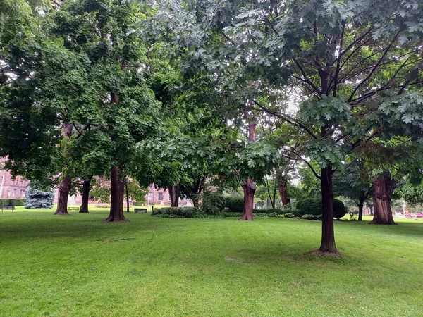 Çeşitli ağaçları olan yemyeşil bir çimen ve bulutlu bir öğleden sonra sakin bir şehir parkında uzanan asfalt bir yol..