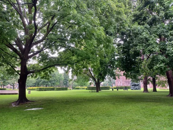 Çeşitli ağaçları olan yemyeşil bir çimen ve bulutlu bir öğleden sonra sakin bir şehir parkında uzanan asfalt bir yol..