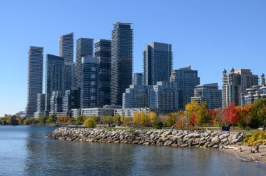 Etobicoke, Toronto, Kanada 'da Ontario gölü boyunca yükselen modern yerleşim yerleri, liman parkı boyunca uzanan ağaçların üzerine canlı düşen yapraklar.