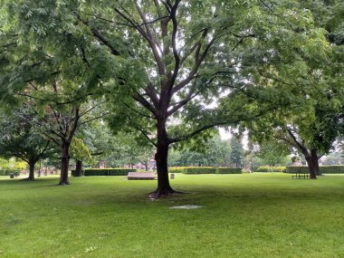 Toronto, ON, Kanada - 3 Eylül 2025: Bulutlu bir öğleden sonra sakin bir şehir parkında çeşitli ağaçlar ve asfalt bir yol uzanan yemyeşil bir çimen.