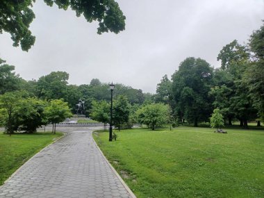 Botanik bahçesinde, parlak bir gökyüzü altında bahçecilik tasarımı sergilenen çeşitli güzel bitkiler ve doğal elementlerden oluşan bir koleksiyon yer alıyor..
