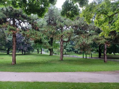 Botanik bahçesinde, parlak bir gökyüzü altında bahçecilik tasarımı sergilenen çeşitli güzel bitkiler ve doğal elementlerden oluşan bir koleksiyon yer alıyor..
