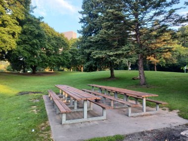 Birkaç uzun ahşap piknik masası güneşli bir parktaki beton blokta yeşil çimenler ve olgun ağaçlarla çevrili..