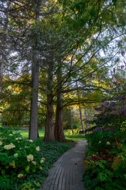 Toronto 'daki James Gardens' taki canlı yeşillikleri kesen sakin bir patika. Sergide, Ekim ayında çekilen doğanın sükuneti ve mimari tasarımı yer alıyor..