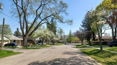 Toronto, ON, Kanada - 26 Nisan 2025: Görüntü, güneşli bir bahar gününde Etobicoke 'da çiçek açan ağaçlar ve yeşil çimlerle dolu sakin bir yerleşim yeri caddesini gösteriyor.