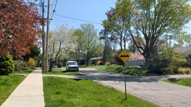 Toronto, ON, Kanada - 26 Nisan 2025: Etobikola caddesi, doğanın geliştiği ve huzurlu bir banliyö sokak manzarası sunduğu baharda çiçek açan ağaçları gösteriyor.
