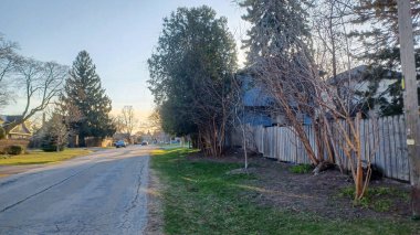 Toronto, ON, Kanada - 9 Nisan 2025: Park halindeki arabaların ve olgun ağaçların tomurcuklanmaya başladığı sakin bir yerleşim yeri..