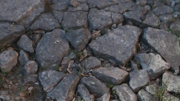 Bottle Made Green Glass Smashed Concrete Floor Splinters Glass Laying — Stock Video