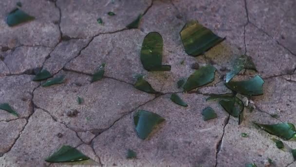 Bottle Made Green Glass Smashed Asphalt Green Splinters Glass Laying — Stock Video