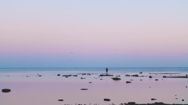 鏡のように見える浅い水の中を歩いている男の上を飛んでいる鳥の群れ 日没後に暗くなってきている 小さな岩と暗い地平線 — ストック動画