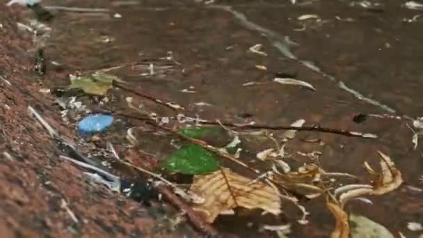 Polluted Streets Nature Rubbish Lying Water Surface Earth Inhabitants Managed — Stock Video