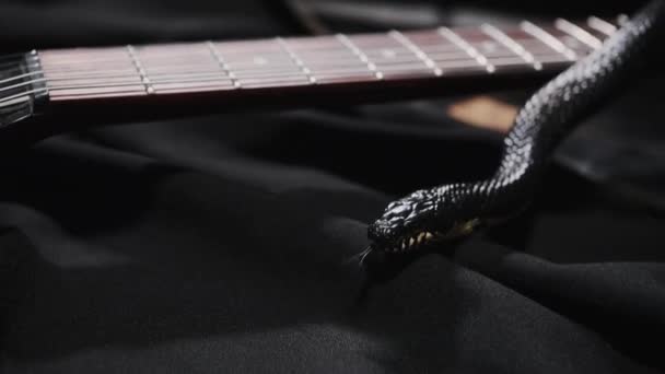 Serpiente Oscura Arrastrándose Sobre Guitarra Sábana Seda Negra Mostrando Lengua — Vídeos de Stock