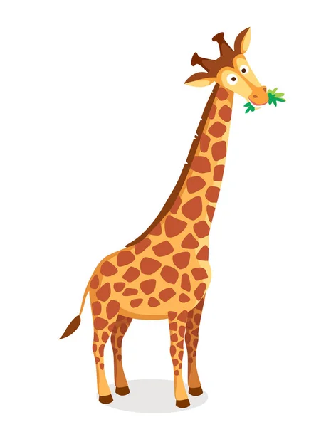 Image Vectorielle Girafe Personnage Dessin Animé Avec Long Cou Mâchant — Image vectorielle