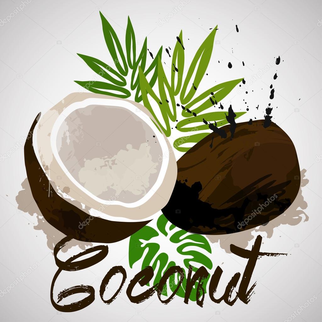 Coconut with color splash and tropic plants vector
